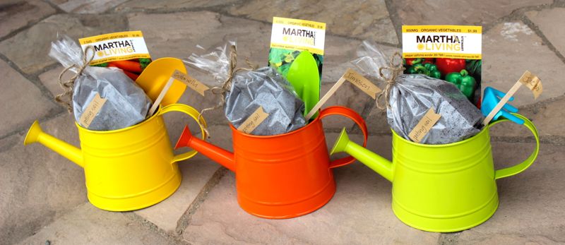 garden kits for kids_jsorelle