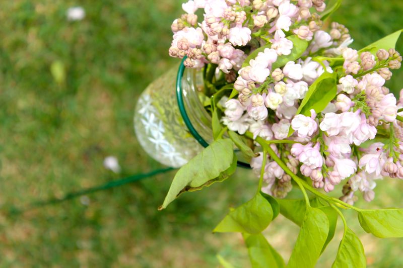 lilacs-picnic-mason-jar-pink-summer-plant-prop-stake