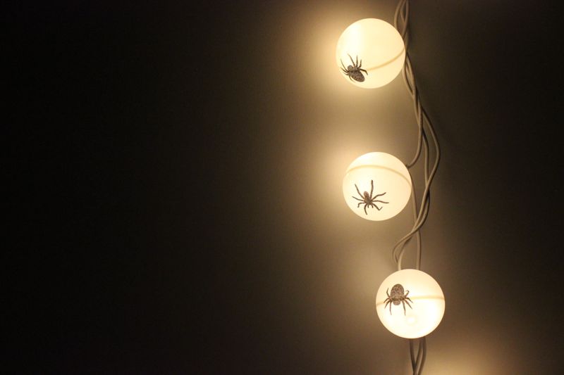 DIY-ping-pong-ball-diy-halloween-lights-spider