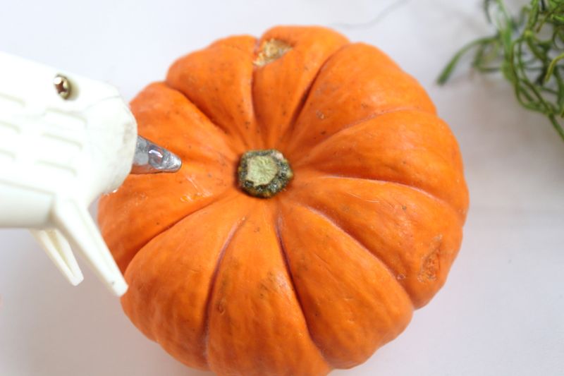 pumpkin-glue
