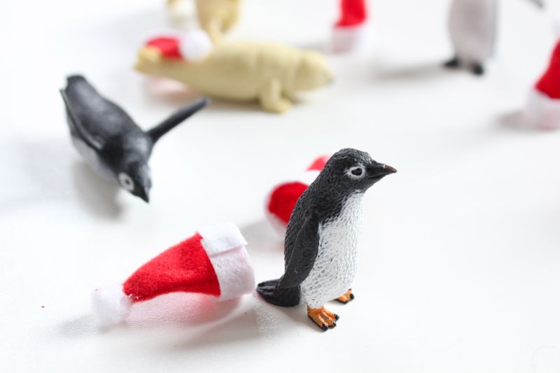 penguin-santa-hats-christmas-polar-animal