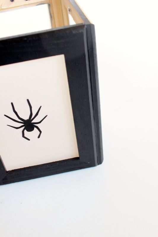 black-silhouette-spider-frame