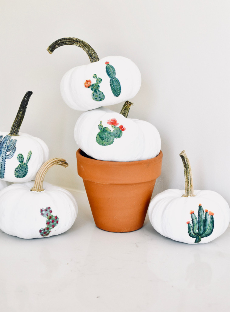 Mini Cactus Garden Pumpkins