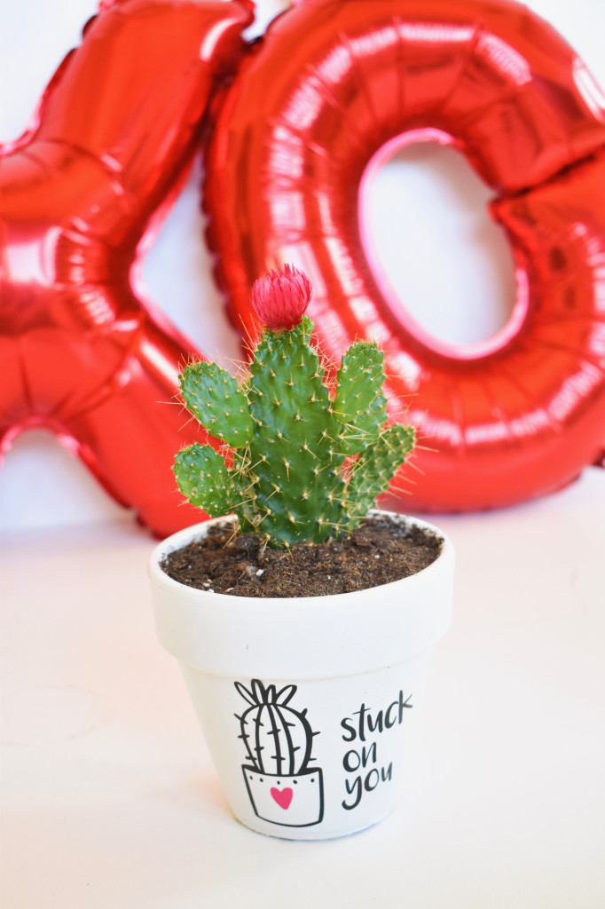 DIY valentines day planter-cactus-austin-love-wall-i-love-you-so-much-stuck-on-you