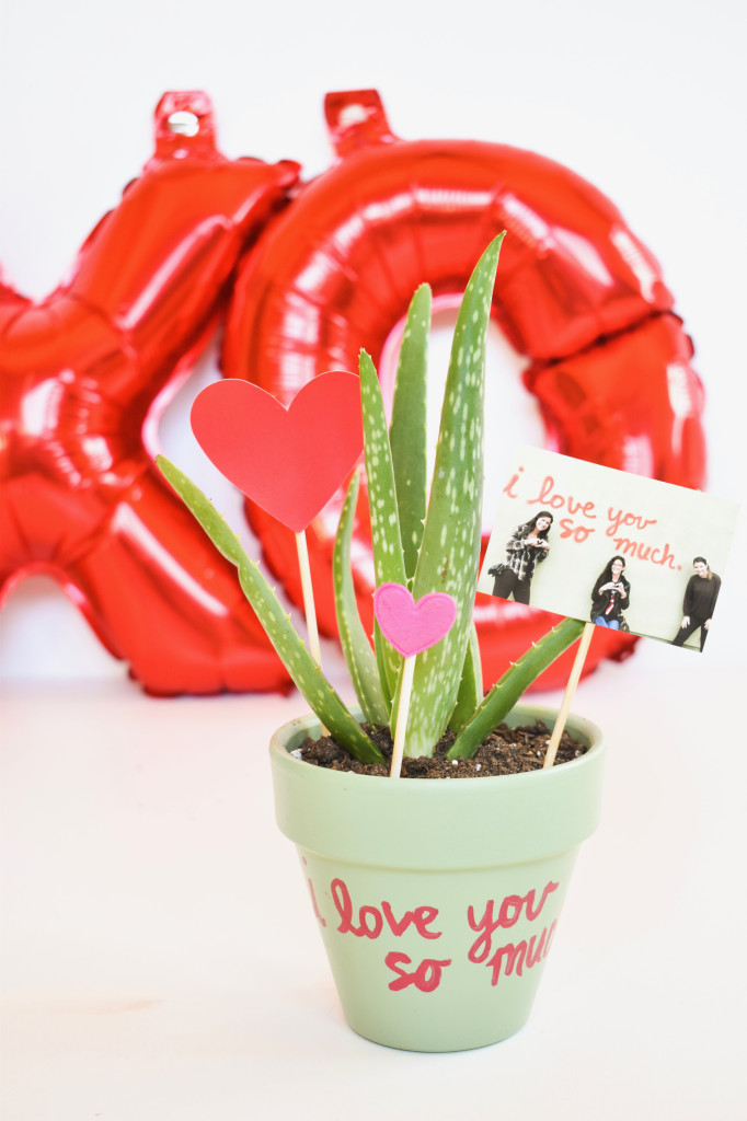DIY valentines day planter-cactus-austin-love-wall-i-love-you-so-much